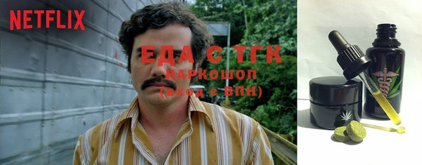 мдпв Ельня