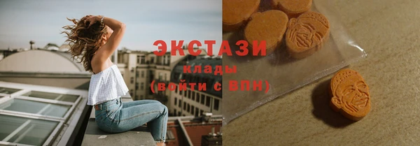 мдпв Ельня