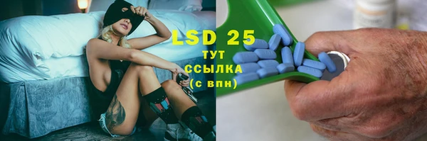 мдпв Ельня
