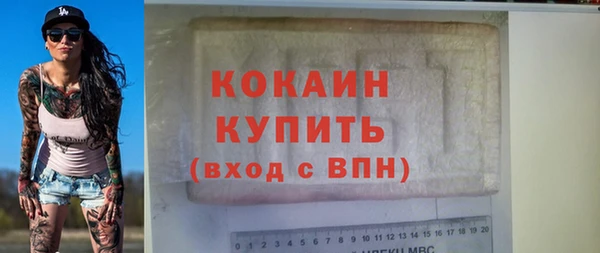 мдпв Ельня