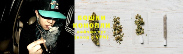 бошки Шадринск