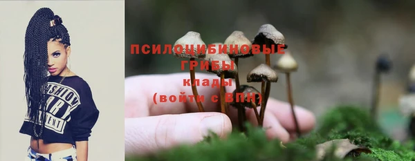 ALPHA-PVP Елизово