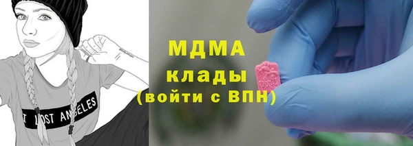 мдпв Ельня