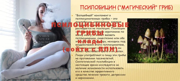 ALPHA-PVP Елизово