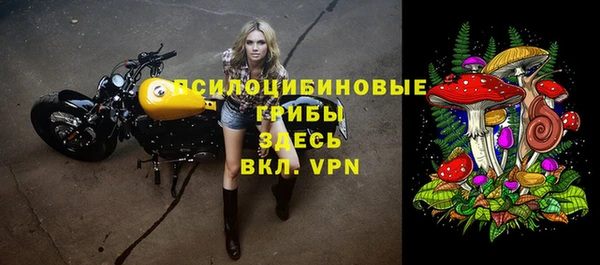 PSILOCYBIN Заволжск