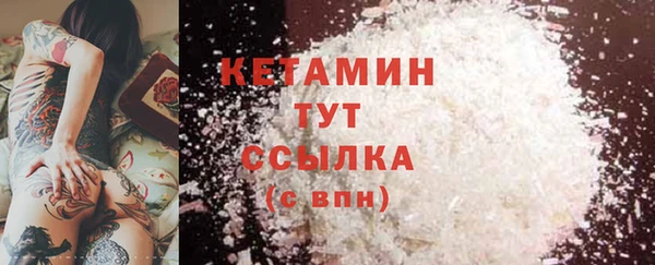 индика Заводоуковск