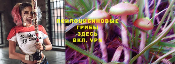 мдпв Ельня