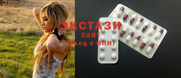мдпв Ельня