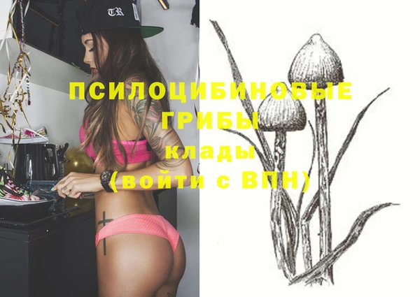 мдпв Ельня