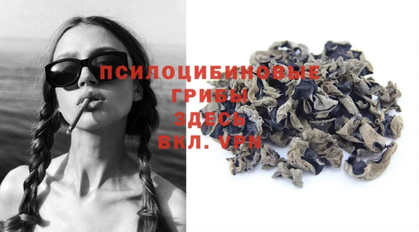 мдпв Ельня