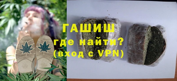 мдпв Ельня