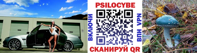 Псилоцибиновые грибы GOLDEN TEACHER  Купить где  Нестеров 